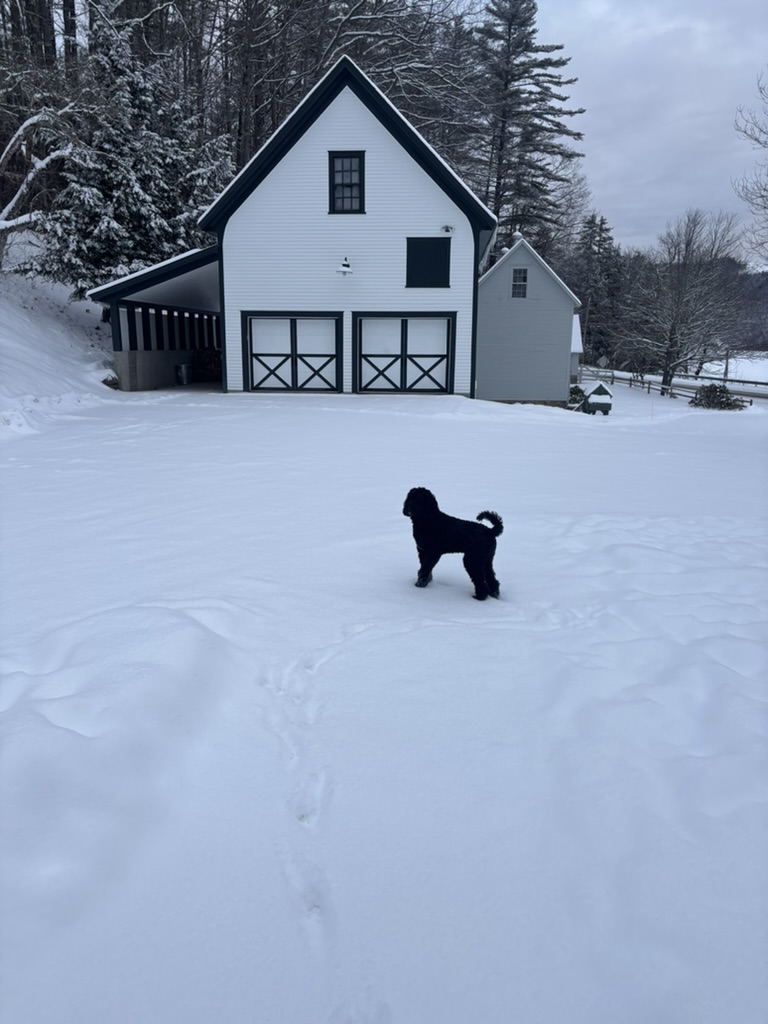 Winter — the barn and a quiet field